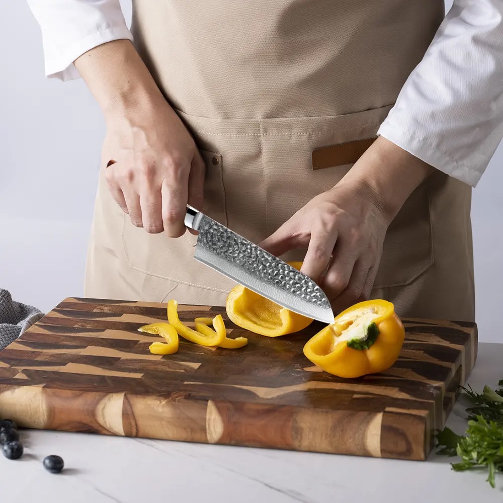 Palisandr hammered Santoku 05